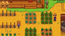 Stardew Valley