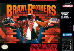 Brawl Brothers Cover