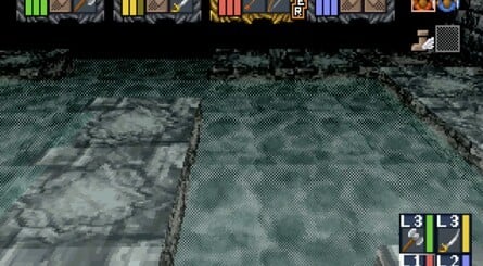 Screens from the (unpatched) version of Dungeon Master Nexus