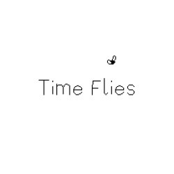 Time Flies Cover