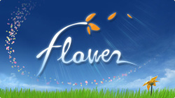 flower Cover
