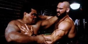 Previous Article: Street Fighter Actor Peter "Navy" Tuiasosopo Has Passed Away At The Age Of 61