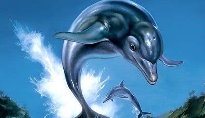 "It Feels Like We Were In The Stone Age" - Ecco The Dolphin's Japanese Localization Process Sounds Like A Nightmare
