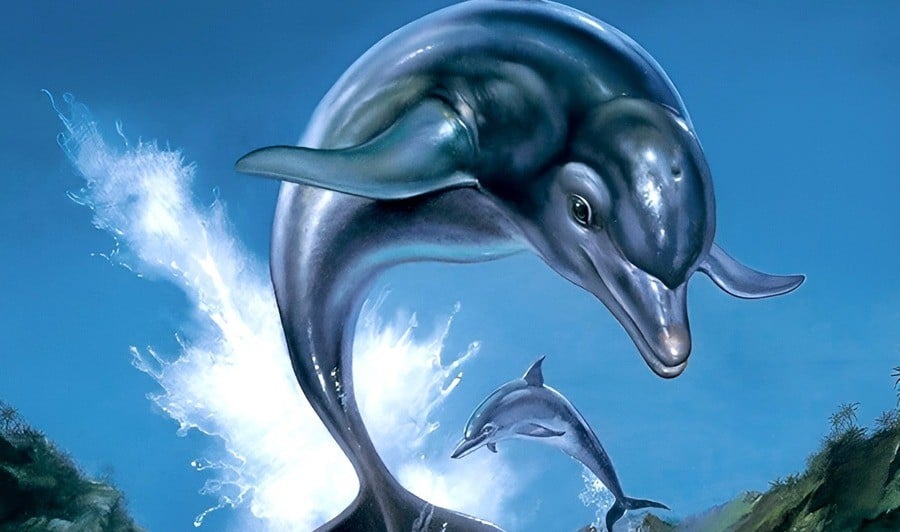 Ecco the Dolphin