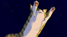 Neko Navy - Daydream Edition
