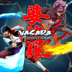 VASARA Collection Cover