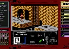 The Last Ninja