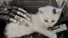 The Talos Principle: Deluxe Edition