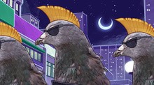 Hatoful Boyfriend