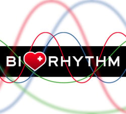 Biorhythm Cover