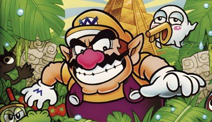 Grandchild Discovers 26 Copies Of Wario Game In Late Grandmother's Collection
