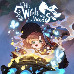Little Witch in the Woods Cover