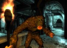 TES: Oblivion