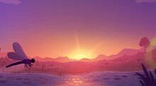 Paradise Marsh