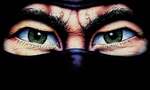 Interview: "We Were World Leaders" - The History Of System 3 And The Last Ninja