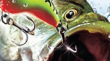 Rapala Pro Bass Fishing