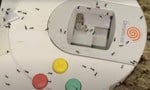 This Dreamcast Controller Full Of Ants Is Your Nightmare Fuel For Today