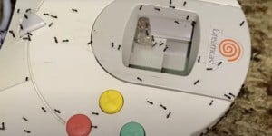Next Article: This Dreamcast Controller Full Of Ants Is Your Nightmare Fuel For Today