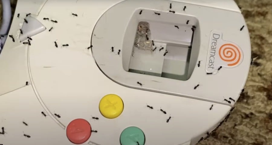 This Dreamcast Controller Full Of Ants Is Your Nightmare Fuel For Today 1