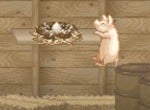 Digital Eclipse's President Reflects On Adapting The Children's Classic Charlotte's Web Into "Pig Of Persia"