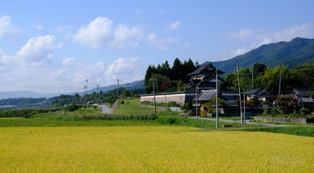 Iwate is where I lived when I was in Japan - as you can see, it's a million miles away from the hustle and bustle of Akihabara!
