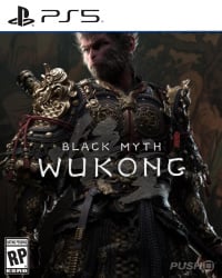 Black Myth: Wukong Cover