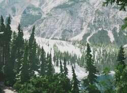 Lushfoil Photography Sim (PS5) - Deeply Relaxing Exploration Game Is a Sight to Behold