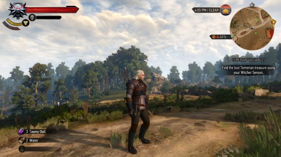 The Witcher 3: Wild Hunt - Complete Edition Screenshot