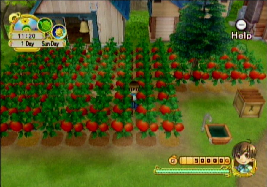 Harvest Moon: Tree of Tranquility Screenshot