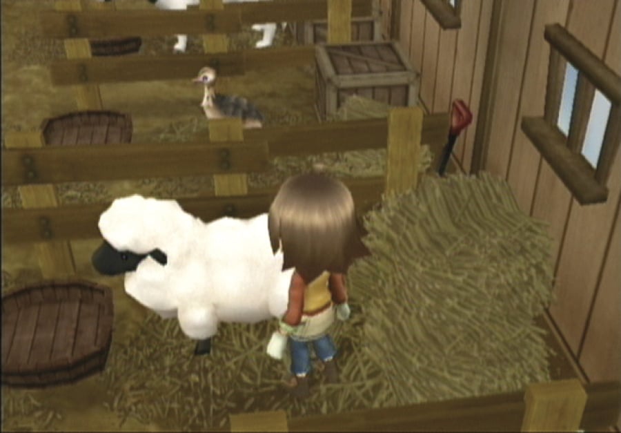 Harvest Moon: Tree of Tranquility Screenshot