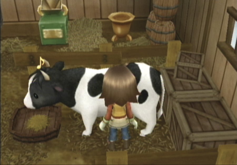 Harvest Moon: Tree of Tranquility Screenshot