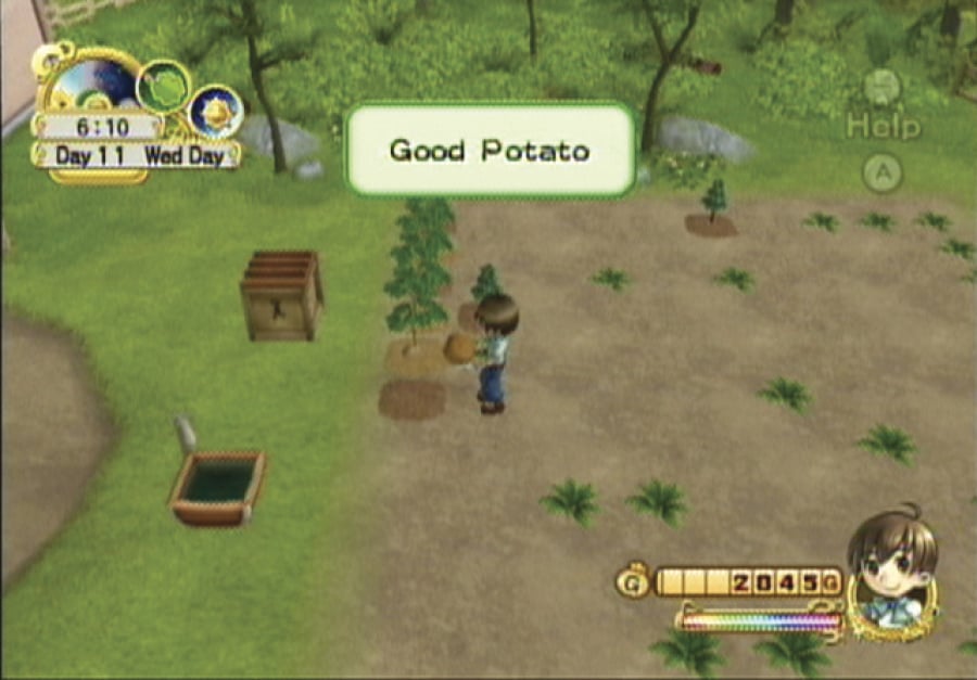 Harvest Moon: Tree of Tranquility Screenshot