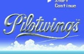 Pilotwings - Screenshot 9 of 9