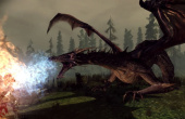 Dragon Age: Origins - Screenshot 10 of 10