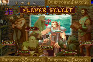 Dungeons & Dragons Collection Screenshot