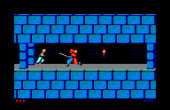 Prince of Persia - Screenshot 3 of 9