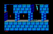 Prince of Persia - Screenshot 4 of 9