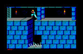 Prince of Persia - Screenshot 6 of 9