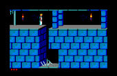 Prince of Persia - Screenshot 7 of 9