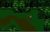 Snake's Revenge - Screenshot 3 of 5