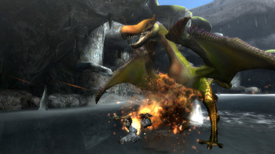 Monster Hunter 3 (Tri~) Screenshot