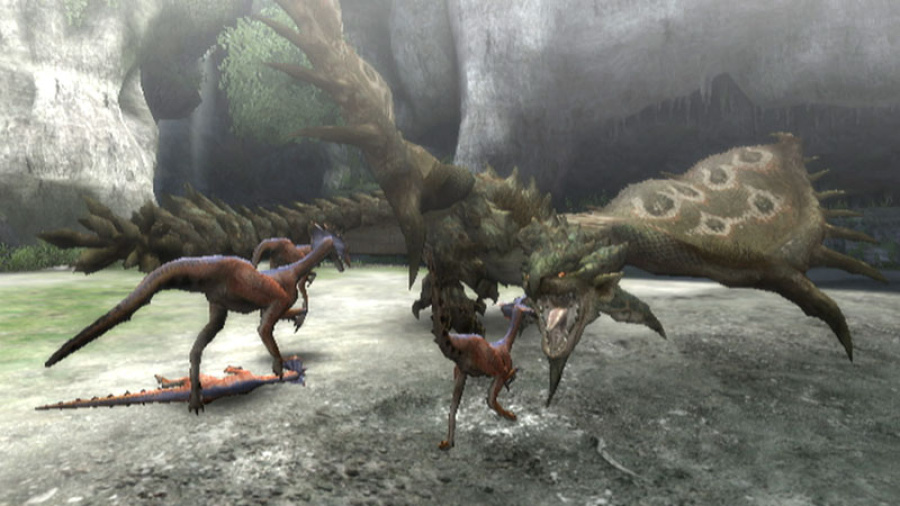 Monster Hunter 3 (Tri~) Screenshot