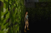 Tomb Raider - Screenshot 3 of 6