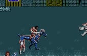 Golden Axe - Screenshot 2 of 6