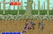 Golden Axe - Screenshot 6 of 7