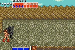 Golden Axe Screenshot