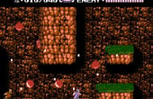 Ninja Gaiden II: The Dark Sword of Chaos - Screenshot 2 of 5