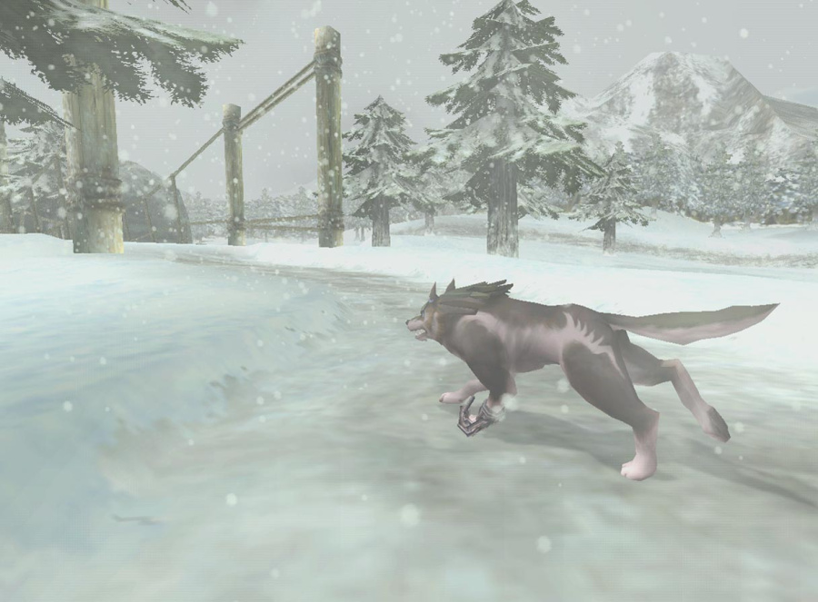 The Legend of Zelda: Twilight Princess Screenshot