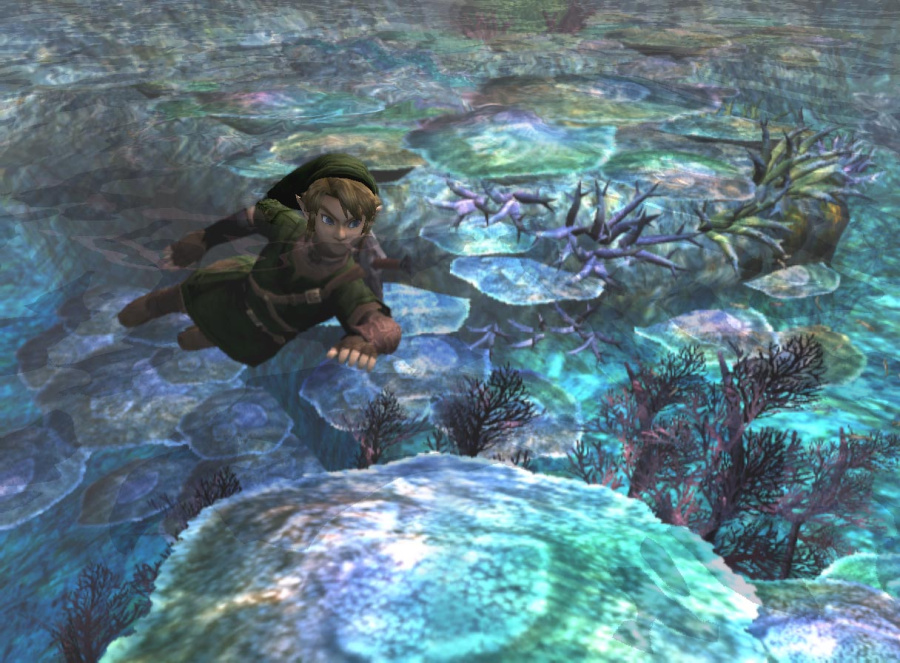 The Legend of Zelda: Twilight Princess Screenshot