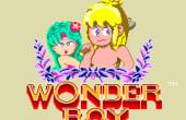 Wonder Boy - Screenshot 6 of 6